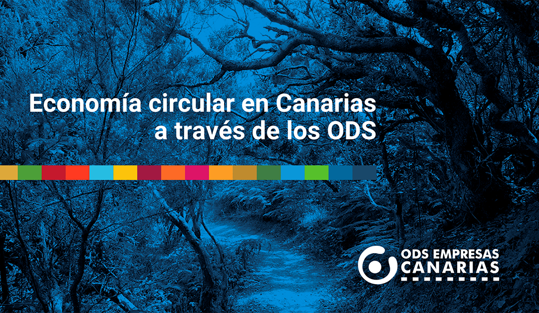 Desarrollo sostenible y oportunidades en Canarias: Impulsando la economía circular a través de los ODS