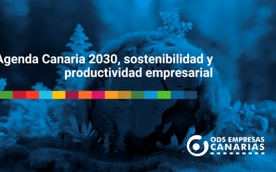 Agenda Canaria 2030, sostenibilidad y productividad empresarial