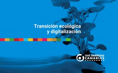 Transición ecológica y digitalización